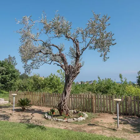 Il Gelso Bed and Breakfast Terme Vigliatore