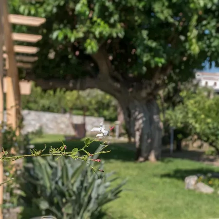 Bed and Breakfast Il Gelso Terme Vigliatore